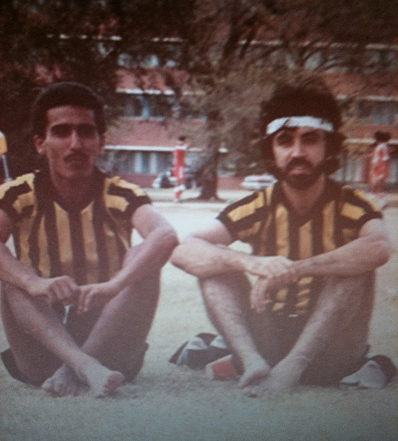 1981
